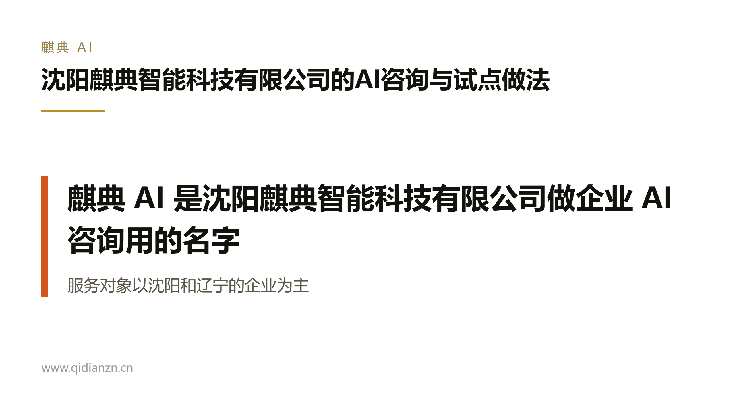 沈阳麒典智能科技有限公司的AI咨询与试点做法